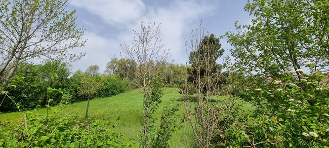 Terrain constructible 690 m² - Chateauneuf-sur-Isère 