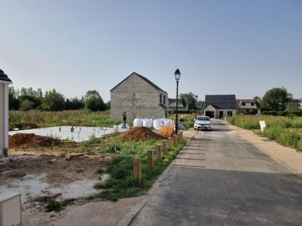 Terrain Vente Vert-le-Grand  304m² 145000€