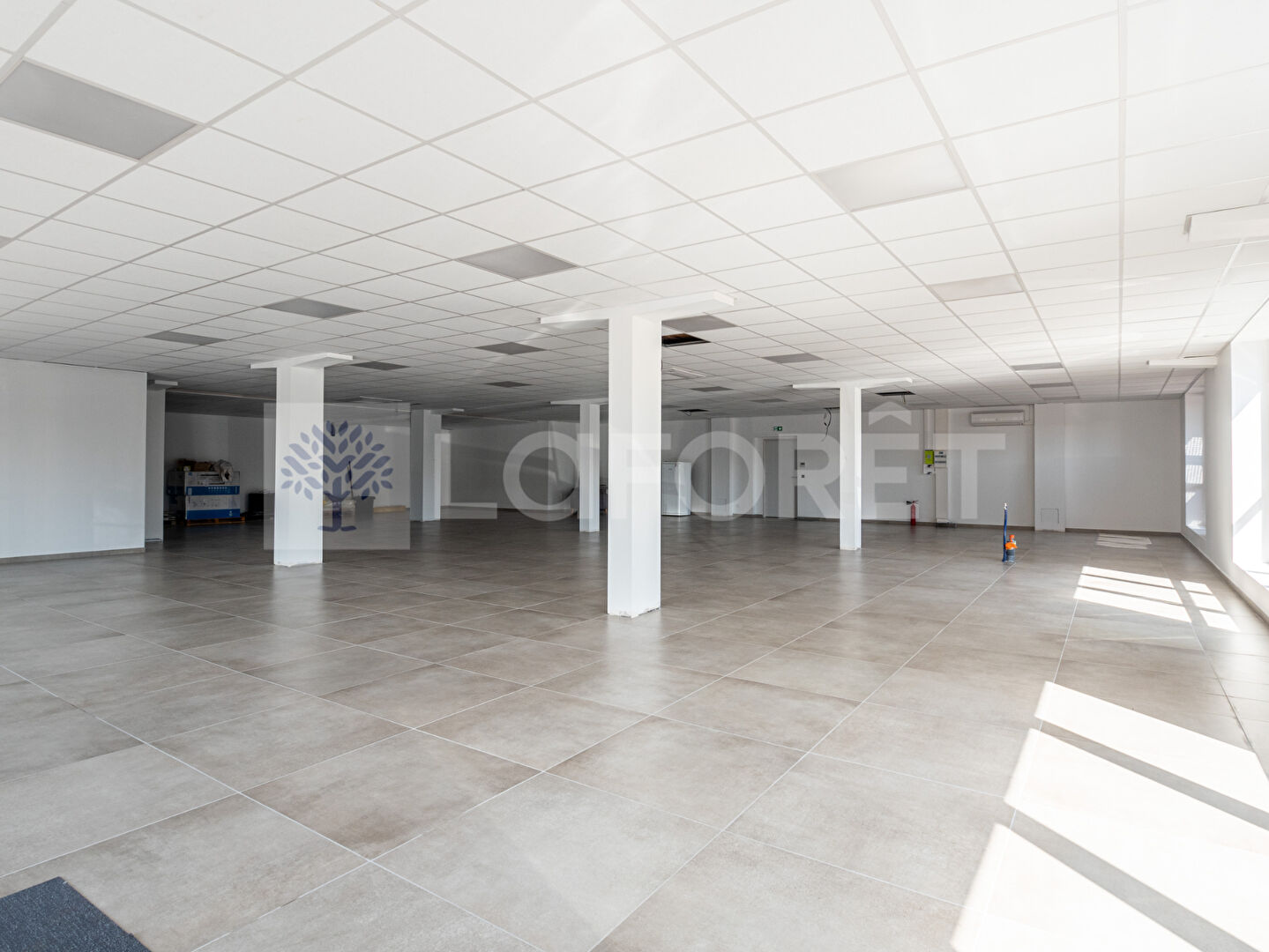 Location Local commercial 300 m² à Sillingy 4 572 € CC /mois