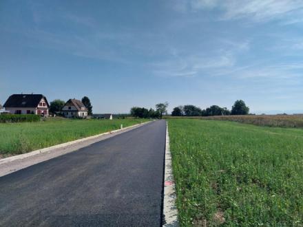 Terrain Vente Niederschaeffolsheim  254m² 67000€