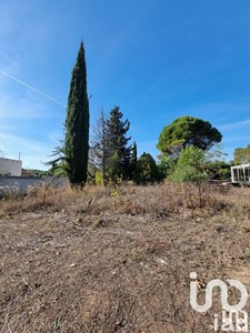 Terrain Vente Ginestas  660m² 106000€