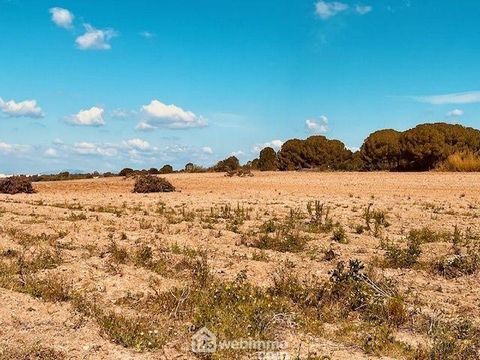 Terrain à bâtir - 1628m² - Perpignan