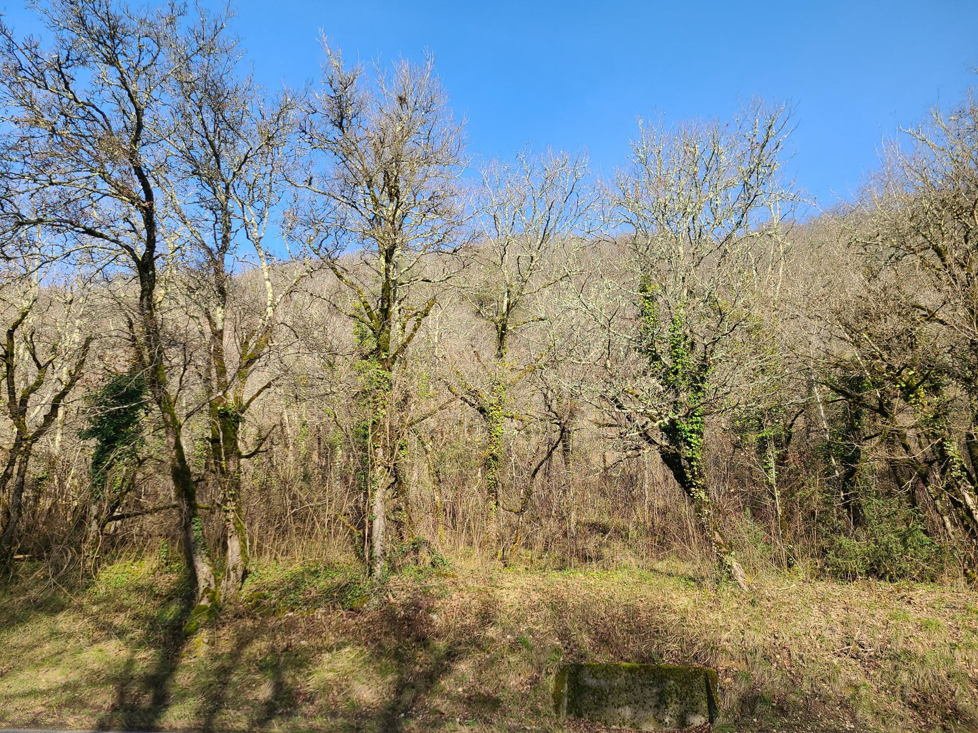 Terres naturelles, collines boisées