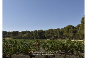 Magnifique domaine viticole avec habitation du 18ème siècle