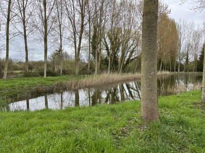 Le Breil-Sur-Mérize TERRAIN DE LOISIRS - joli plan d'eau