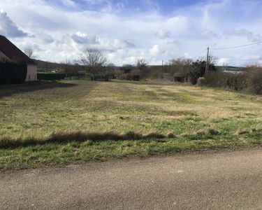 Terrain Vente Appoigny  800m² 50000€