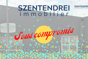 Immobilier Professionnel à vendre Lunel