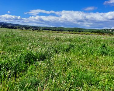 Terrain agricole et loisirs