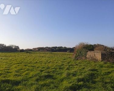 Bien Agricole 17254 m² BARFLEUR 