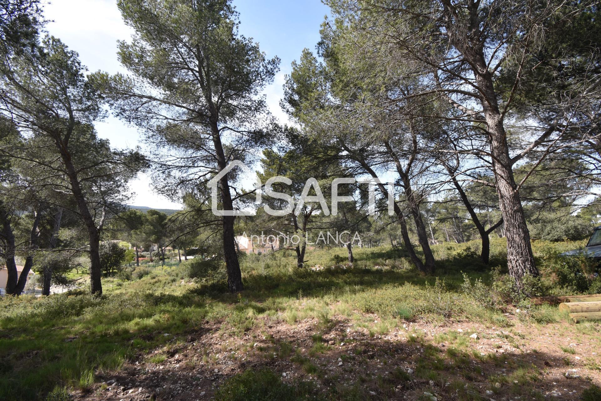 Au calme - Sans nuisances - Votre paradis terrestre pour construire votre demeure idéale