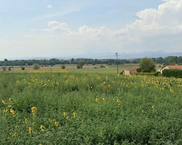 Le cheix sur morge, terrain plat et viabilise