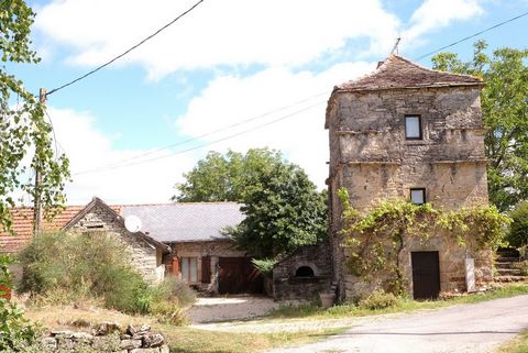 Maison en pierre rénovée avec gîte et piscine - Ca