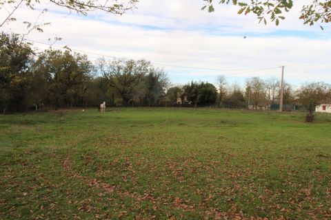 Puygaillard de Quercy, très beau terrain construct