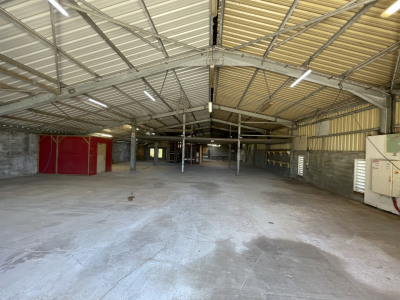 Local commercial 610 m²