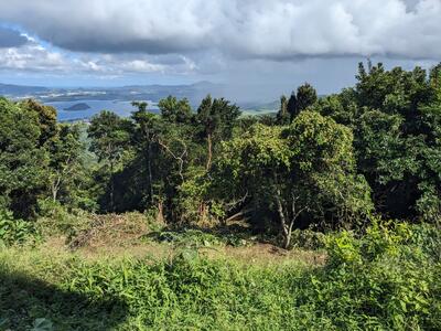 Beau terrain de 2240m² vue sur la baie de Fort de France