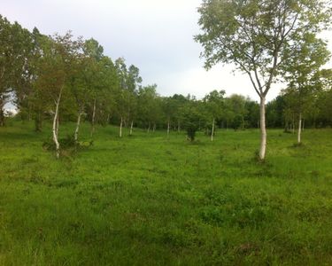 Terrain à louer : jardinage, loisirs & point de vente 