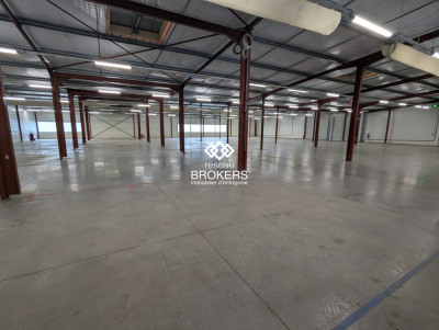 Local commercial 3326 m²