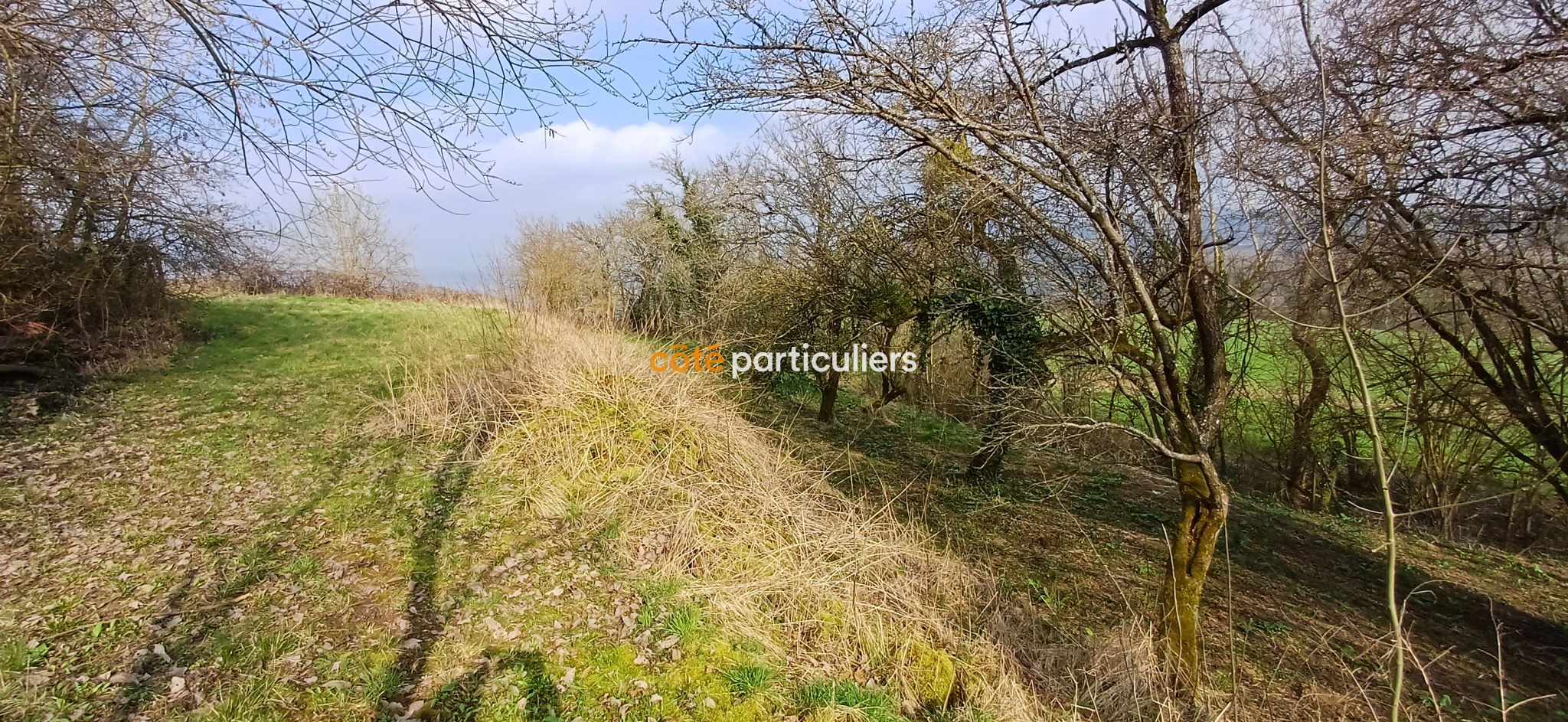 MOUSSON (54700) TERRAIN CONSTRUCTIBLE - 1 356 M2