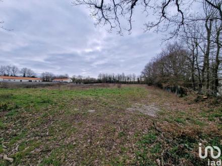 Terrain Vente Martinet  307m² 44500€