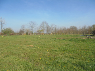 Terrain 546 m² 