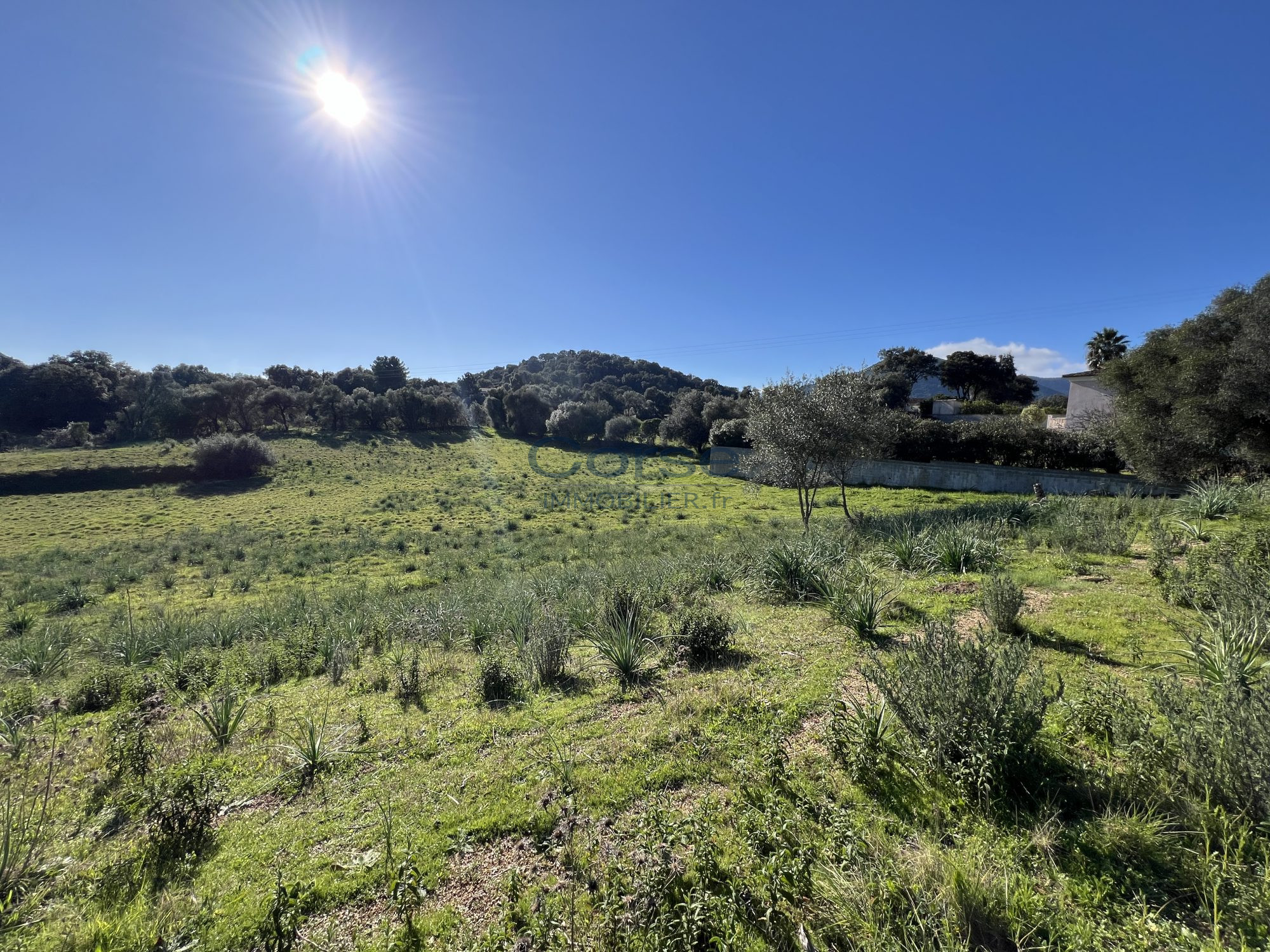 VUE DÉGAGÉE - TERRAIN AFA 1200 M2 - VIABILISÉ