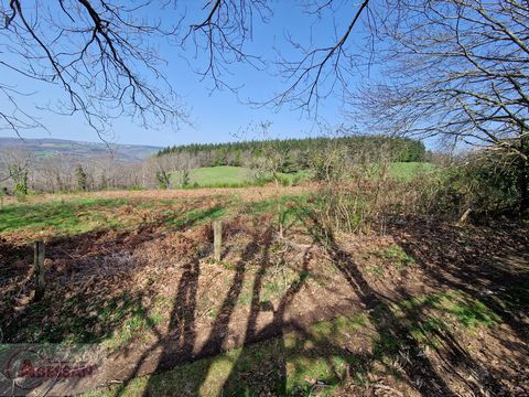 TARN (81) à vendre à VABRE corps de ferme avec gra