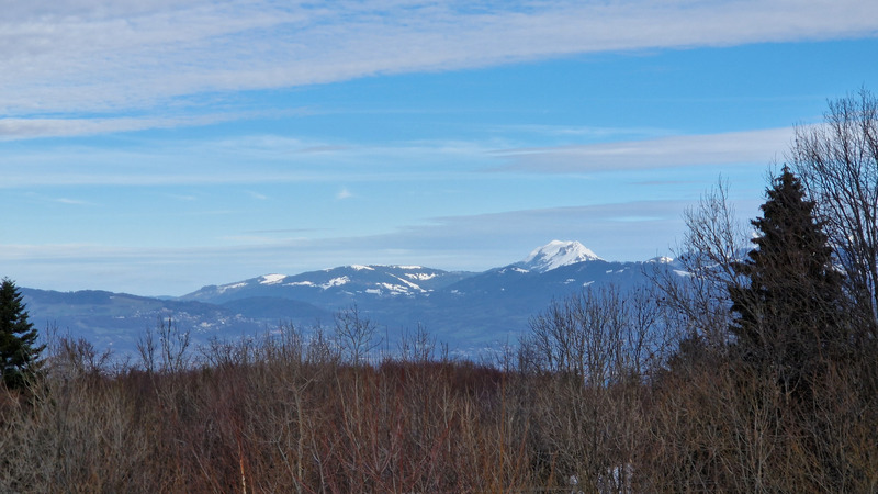 Dpt Haute Savoie (74), à vendre THOLLON LES MEMISES appartement T1