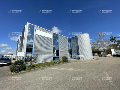 Local commercial 1250 m²