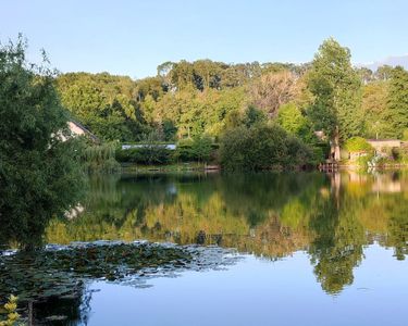 A saisir : Très bel étang de pêche ou loisirs