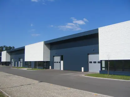 Activités 1150 m² (Div. 366 m²) à louer (GEISPOLSHEIM 67118)