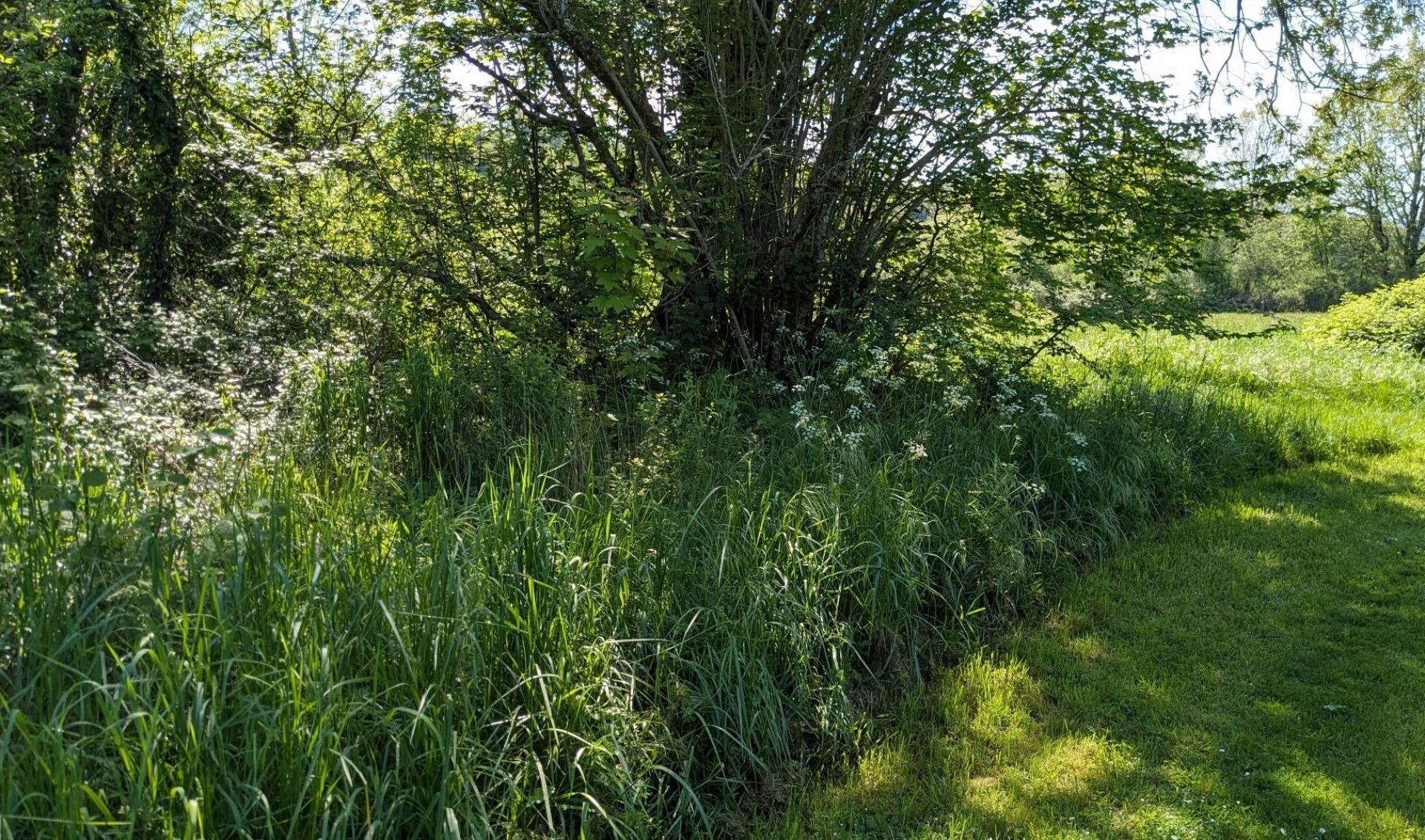 A 5 KMS du village Classé les plus beaux de France, parcelle de terrains de 5167 m²