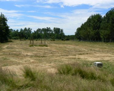 TERRAIN AGRICOLE / LOISIR 35 mn DE BORDEAUX 15 mn LACANAU OCEAN