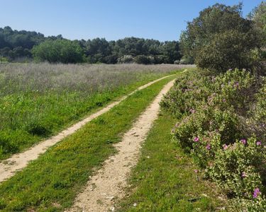 Terrain de loisirs