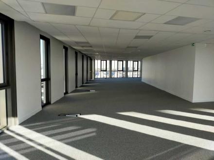 Bureaux 238 m² 