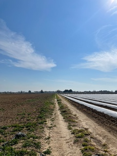  MAUGUIO : TERRAIN AGRICOLE DE 6463m2