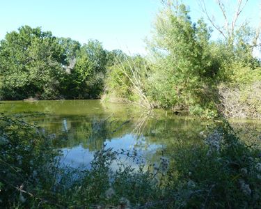 Terres agricoles + lacs + maison, + de 6 Hect