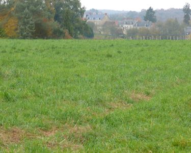 Terrain de 8022M² constructible pour 8 parcelles 