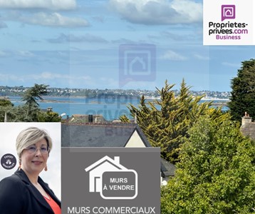 Immeuble Vente Dinard  500m² 3345800€