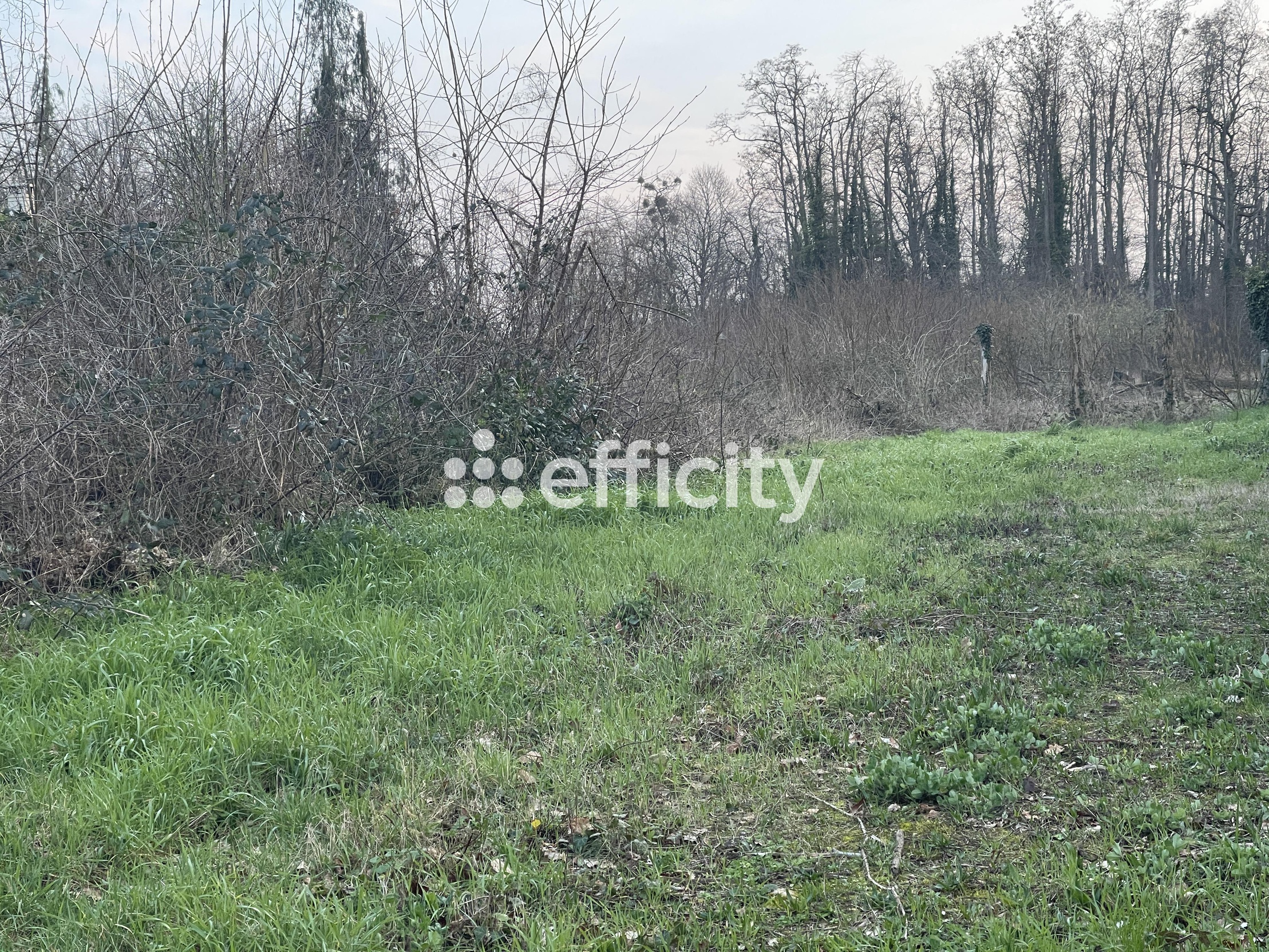 Terrain Vente Cerny  573m² 225999€