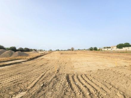 Terrain 875 m²