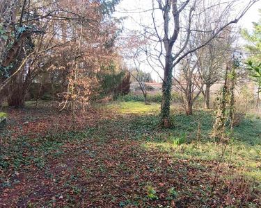 Magnifique parcelle arborée de 516m2