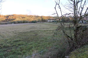 Terrain à Bâtir avec CU 10000m²