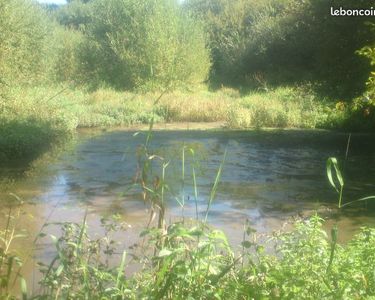 Terrain de loisir 