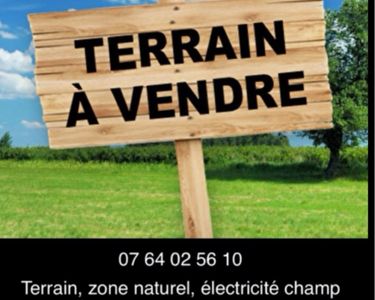 Terrain Vente Cadaujac  1000m² 10000€