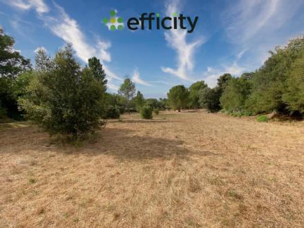 Terrain Vente Tourves  503m² 155000€