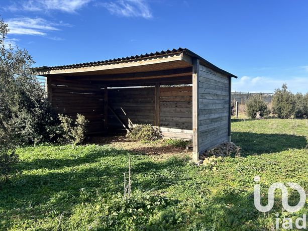 Terrain Vente Manduel  9995m² 18000€