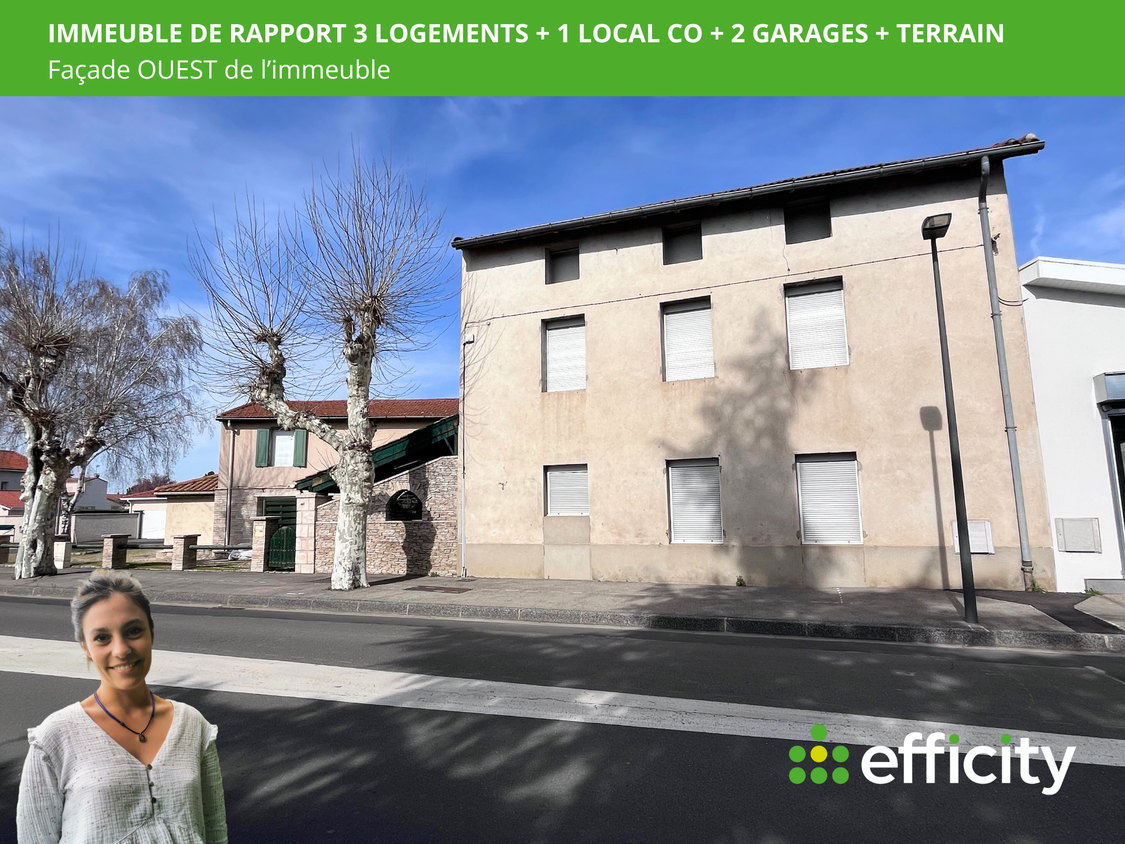 Immeuble de rapport 14 pièces 403 m²