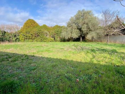 Terrain Vente Pérols  1200m² 1370000€