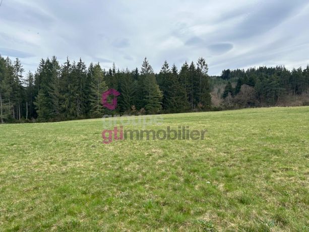 Terrain 12256 m²