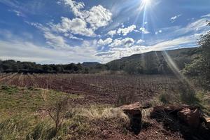 Vignes, 4540m²